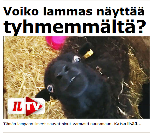 Tiedosto:Lammas iltalehti.png